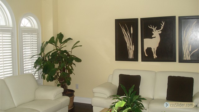 DSC00791
